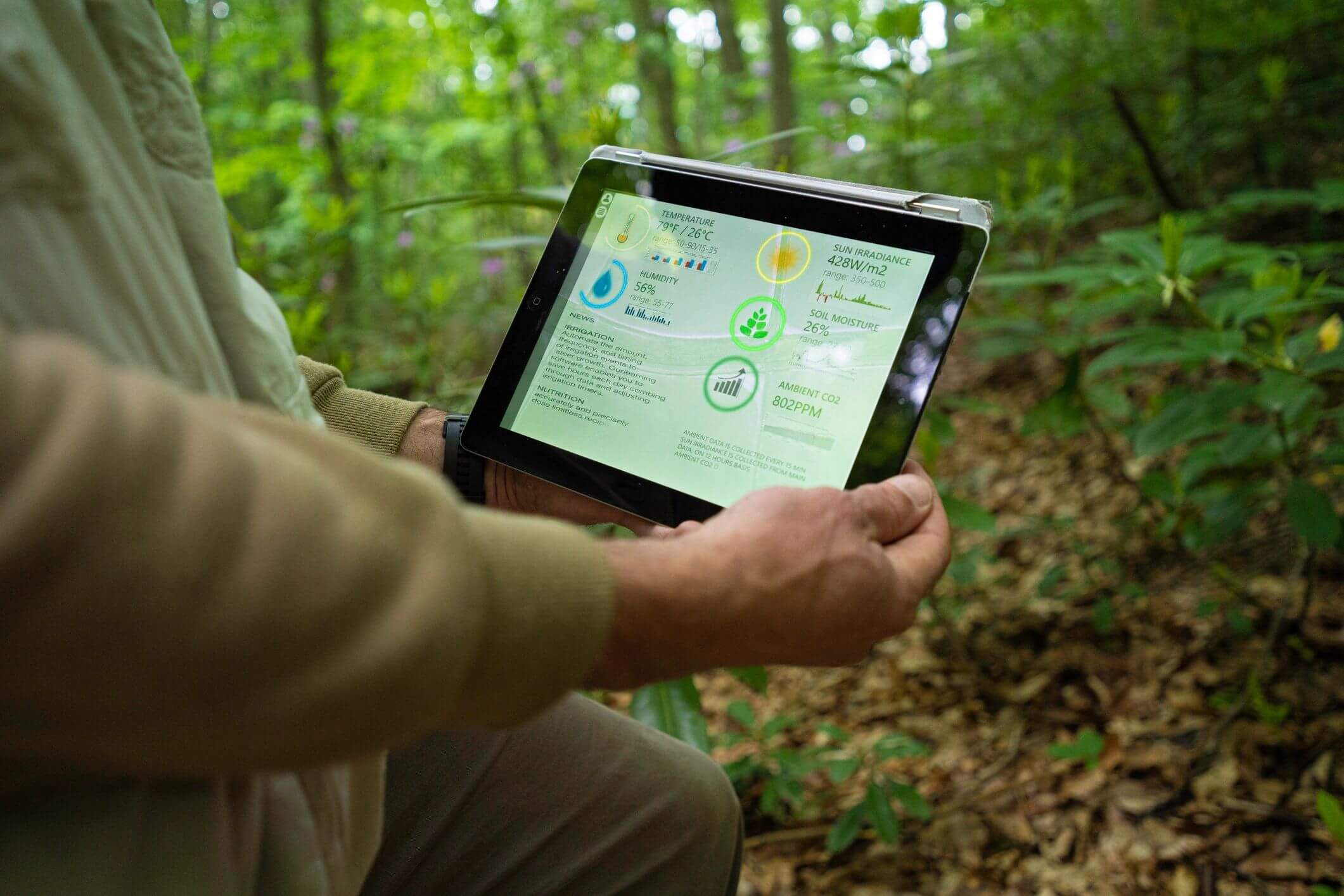 Person using tablet in forest setting.